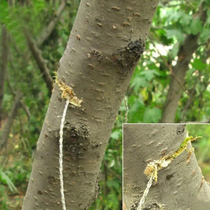 SurvivorSaw – Portable Stainless Steel Wire Saw